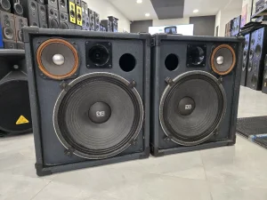 Solton 15/3 2x250W 15"