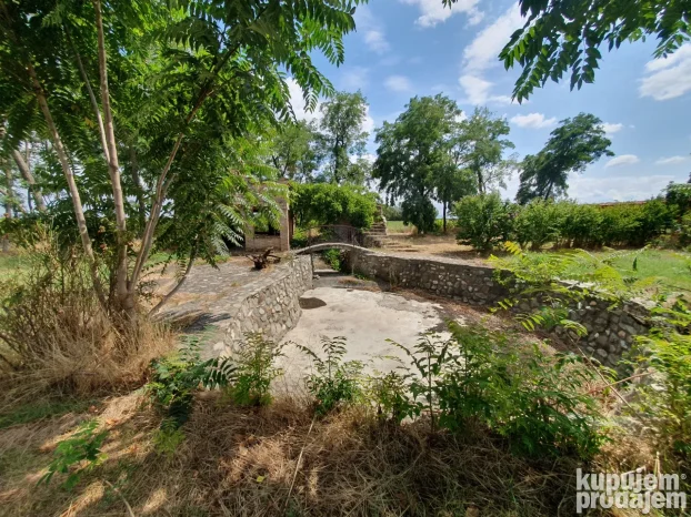 Čenej, 5+ petosobna, 460 m²