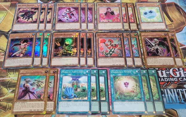 yugioh counter trap deck Amazon.com: YU-GI-OH! - Black Rose Dragon (LC5D-EN099) - Legendary  Collection 5D's Mega Pack - 1st Edition