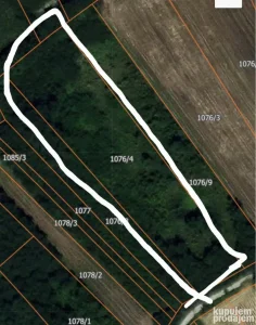 Njiva na prodaju 55 ari selo Skupljen