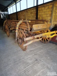 Paorska kola banatska