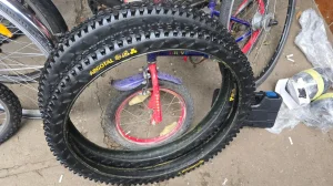 continental argotal 29 2.40