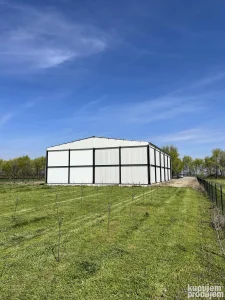 HALA 667m2 Izdavanje/prodaja