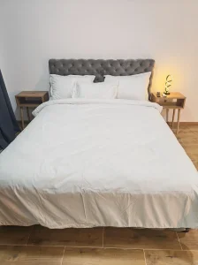 Stan na dan Lazarevac