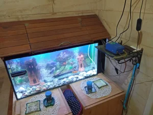 akvarijum