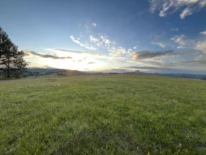 parcela tometino polje