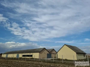 Hale,magacini,stovarista,proizvodnja