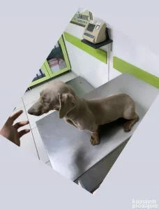 uparena isabel zenka sa isabel piedbal muzjakom