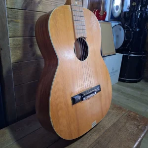 Orfej Plovdiv Steel String Guitar - ZAMENA