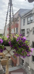 Makrame natur viseći držač za saksije, prirodni materijali