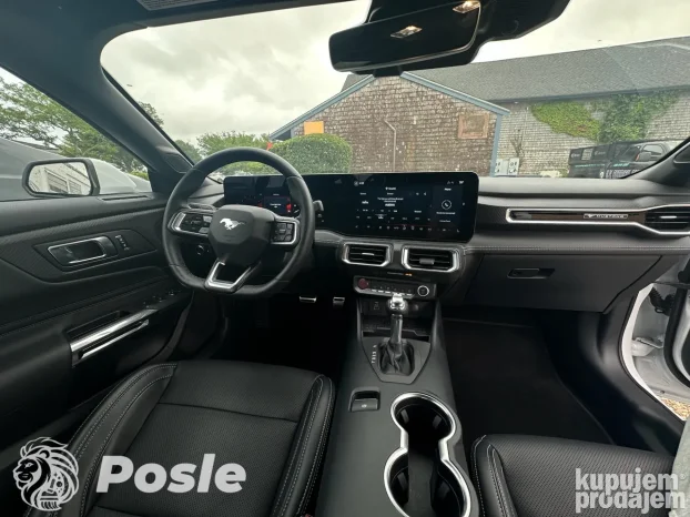 Detailing automobila LION CLEAN