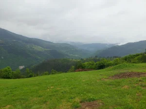 Kraljevo, Dolac, 2.0 dvosobna, 50 m²