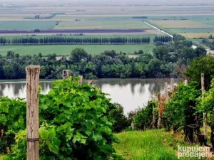 SMEDEREVO, mesto Vodanj jeftin plac ili plac sa kućom ( ni p