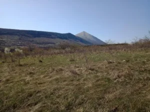 Prodaja parcela na Rtnju