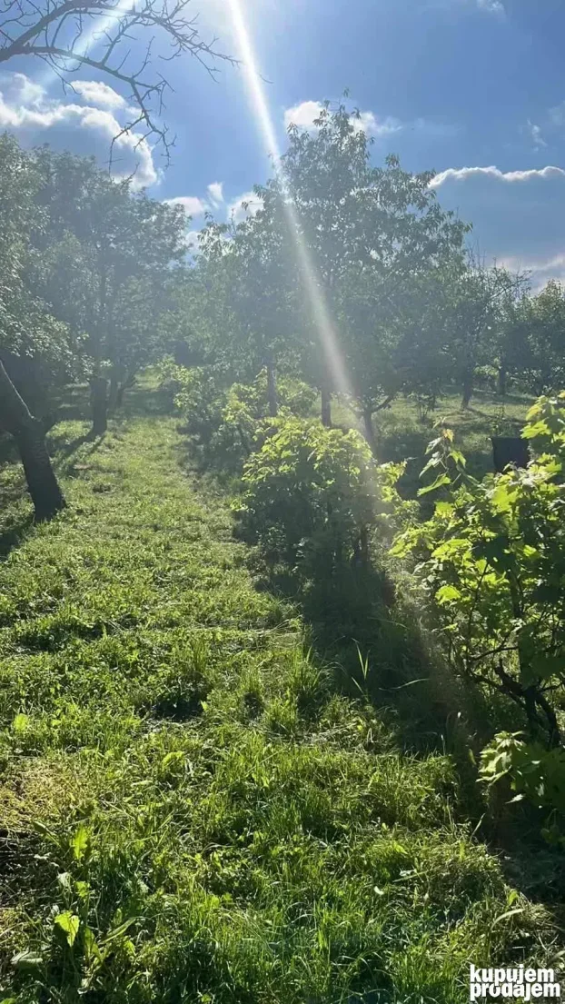 Carevi breg, Grocka, 4.0 četvorosobna, 110 m²