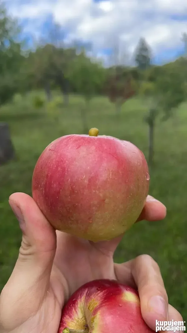 Carevi breg, Grocka, 4.0 četvorosobna, 110 m²