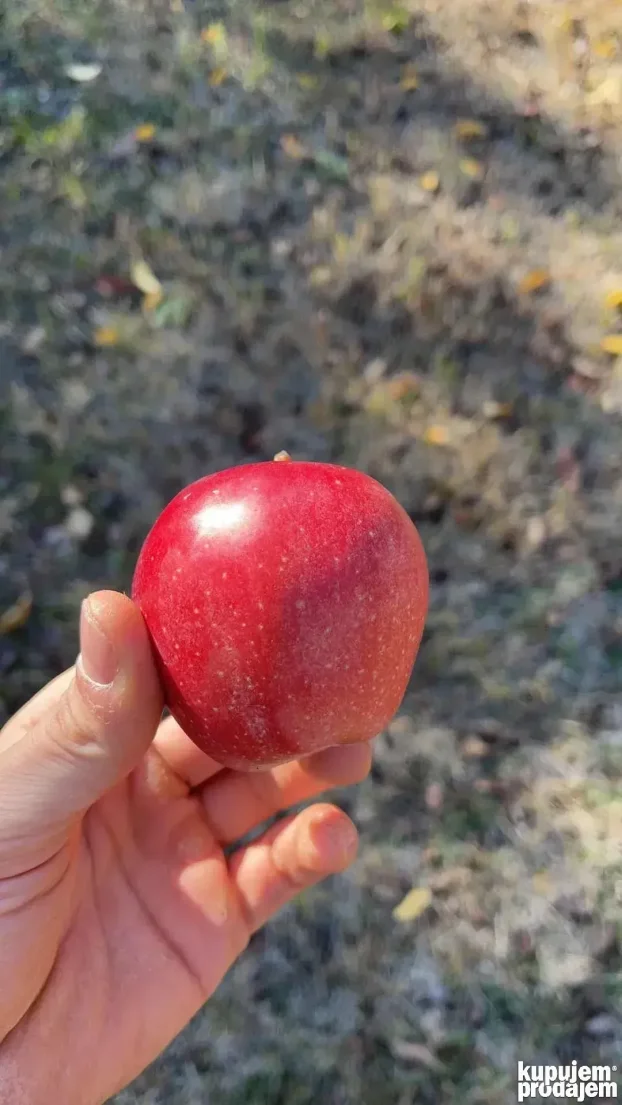 Carevi breg, Grocka, 4.0 četvorosobna, 110 m²