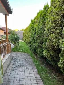 Radnička, Avenija 1, 4.0, 125 m²