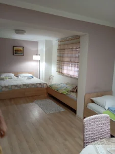 Stan na dan Leskovac