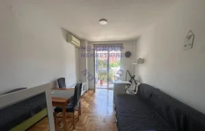 Jednoiposoban,odlican,Nova Detelinara 550000
