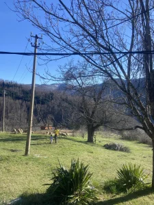 Ivanjica, Gleđica, 2.0 dvosobna, 60 m²