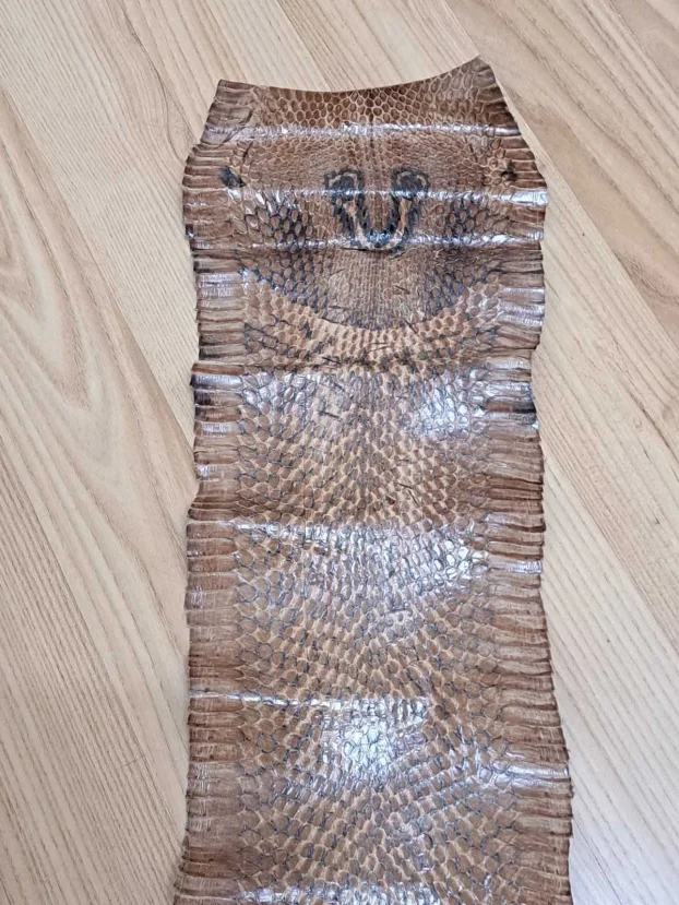 Koža kobre