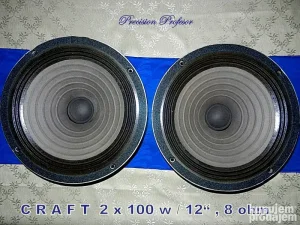 Craft - 2 x 100 w / 12" , ultra mint - cena je za par