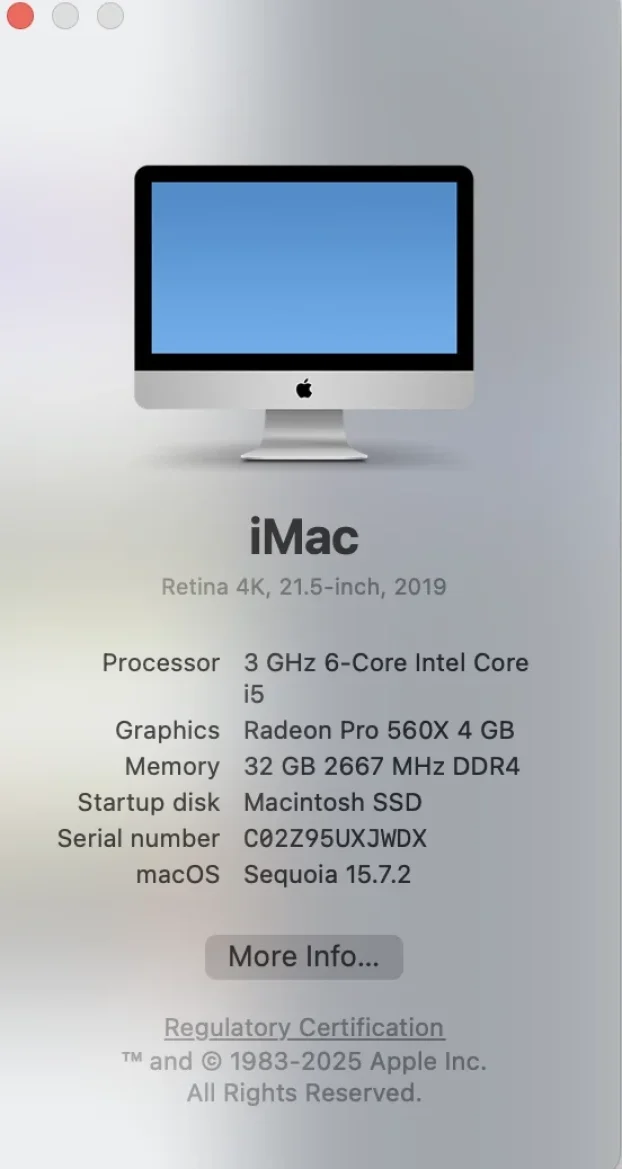 iMac 21.5 Retina 4k 2019 32GB, Flash Disk