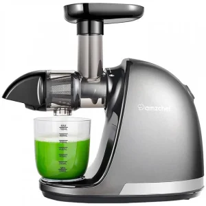 DREAME 1501-GA Slow Fruit Mrifa 150W Gray