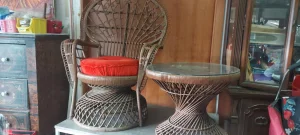 Paunova  fotelja - Peacock chair