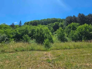 Kraljevo, Lopatnica, 468 ar