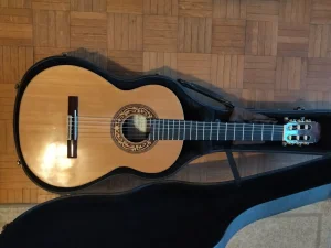 klasicna majstorska gitara Dragan Nesic