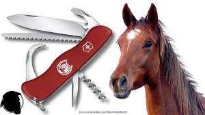 Victorinox Equestrian sa čistačem kopita za konje