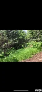 Placevi na planini Tari naselje Jezera