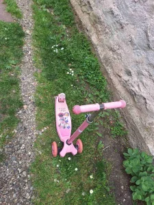 trotinet