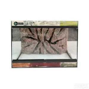 Terarijum 35x20x25