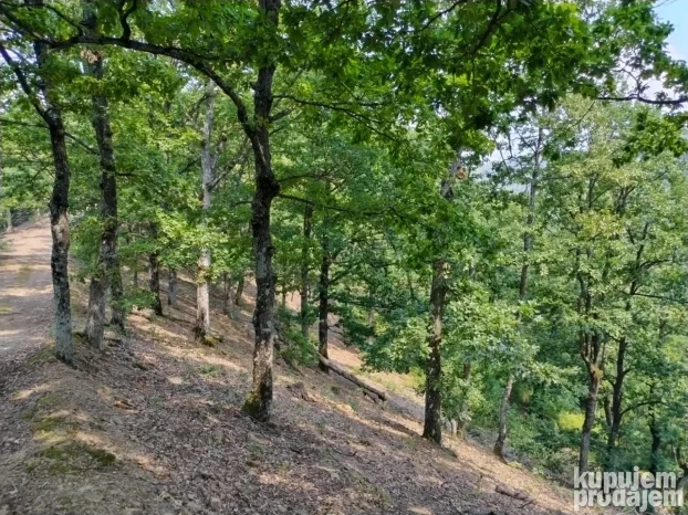 Majdanpek, Donji Milanovac, 2.0 dvosobna, 144 m²