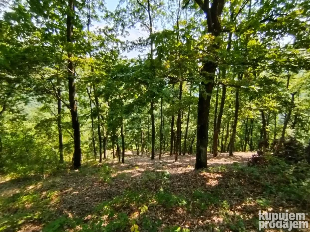 Majdanpek, Donji Milanovac, 2.0 dvosobna, 144 m²