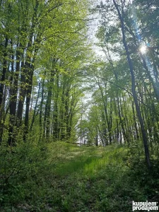 Zemljiste u rezervatu prirode