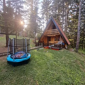 Vikendica Tara Zaovine