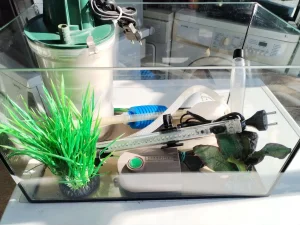 Akvarijum sa opremom