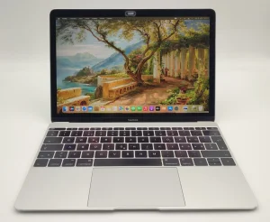 MacBook Retina 12-inch early 2017 model A1534 8/256 GB