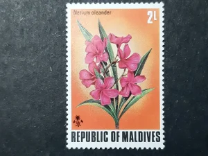 Markica - Maldivi -1973.god.
