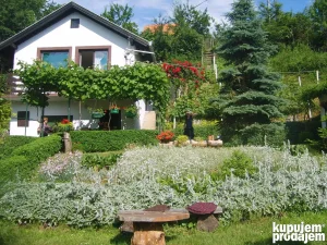 Zeleni breg 15, Sremska Kamenica, 2.0 dvosobna, 64 m²