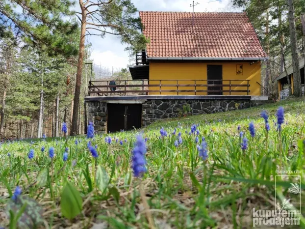 Ski staza Centar, Valjevo, Divčibare, petosobna +, 219 m²