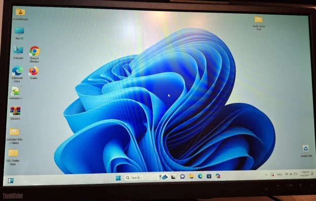 Monitor Lenovo ThinkVision E24-10