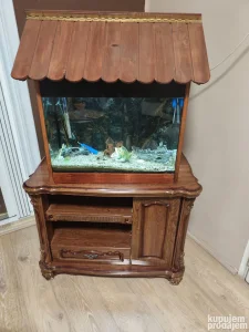 Akvarijum