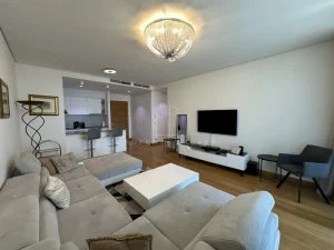 Bulevar Vudroa Vilsona, Beograd na vodi, 3.0 trosoban, 90 m²