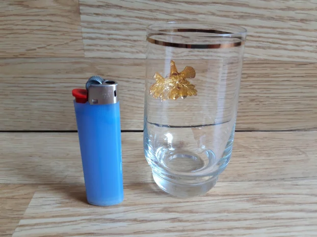 Stara lovacka casa - Tetreb