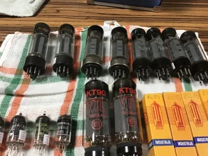 el cevi
